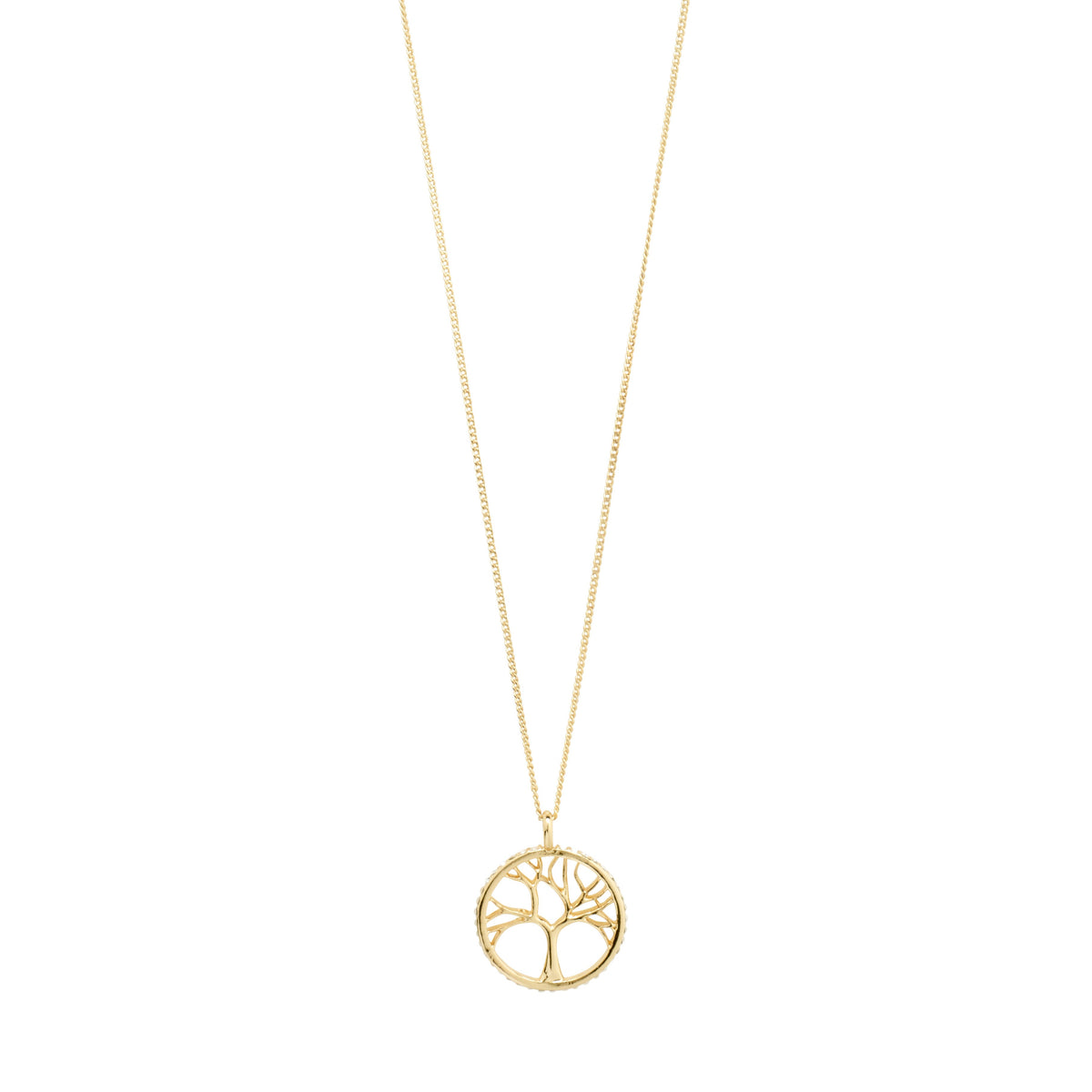 Collier doré avec pendentif arbre dans un cercle