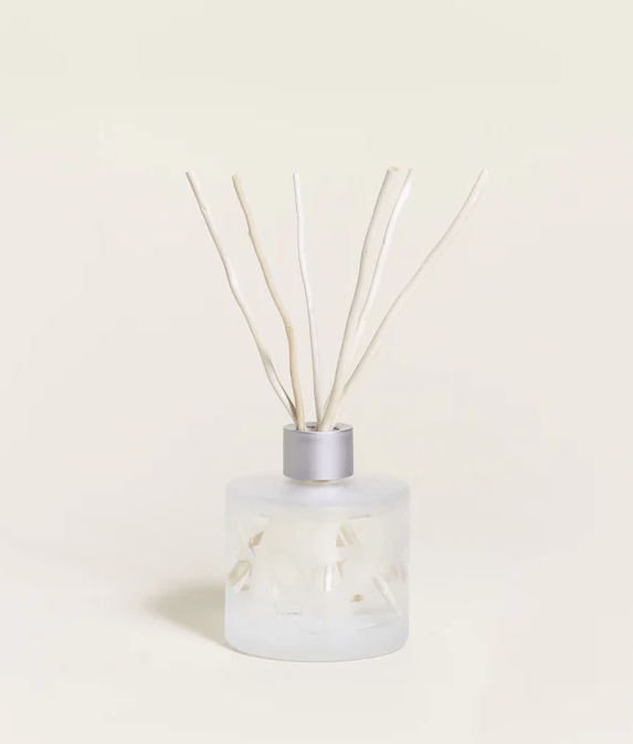 Bouquet parfumé Aroma Energy – Zestes toniques – Maison Berger
