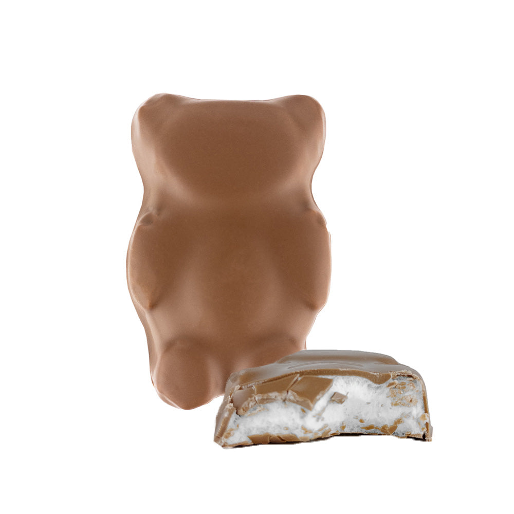 Ourson à la guimauve enrobé de chocolat