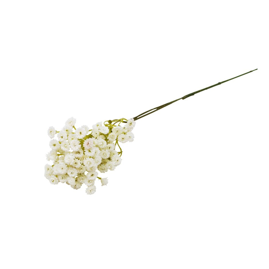 Allium décoratif blanc