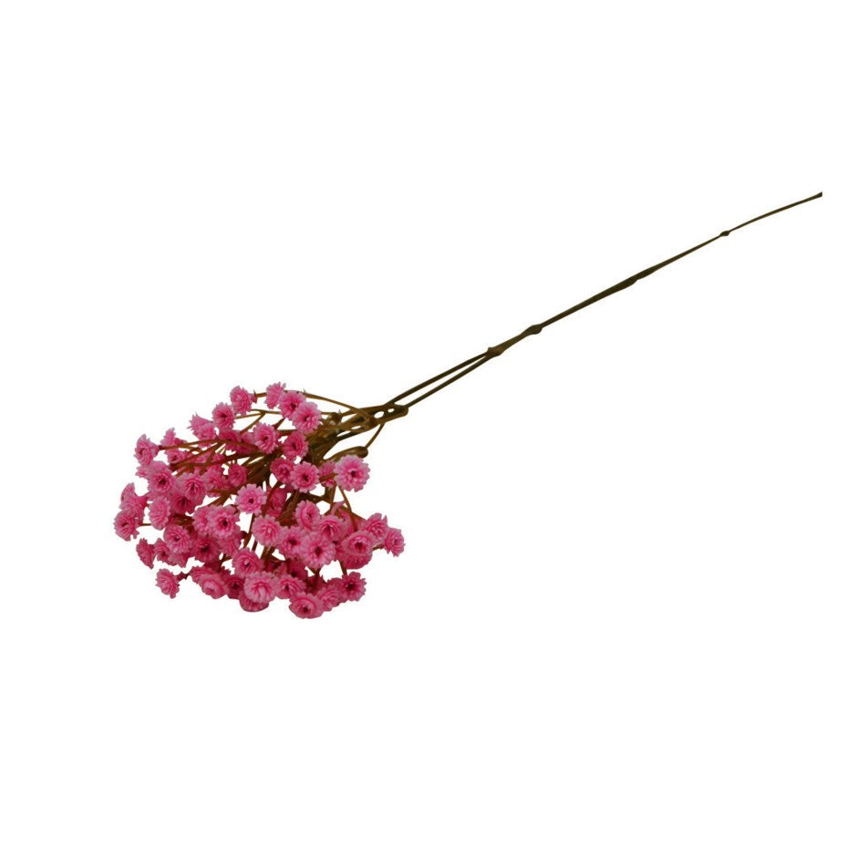 Allium décoratif rose