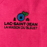 T-shirt à col V pour femme – broderie présente sur le T-shirt