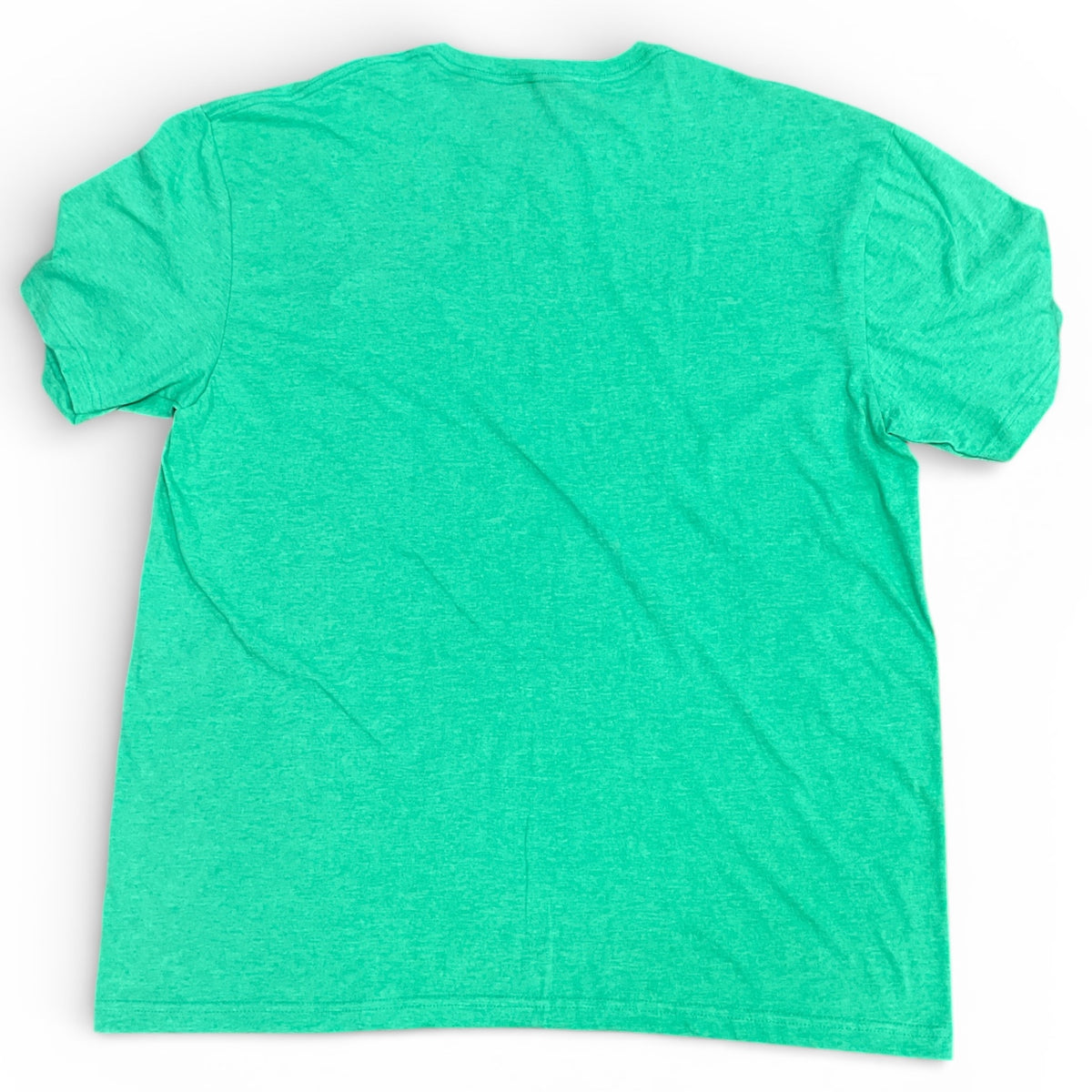 T-shirt unisexe – vert clair vue de dos