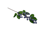 Branche décorative avec bleuets