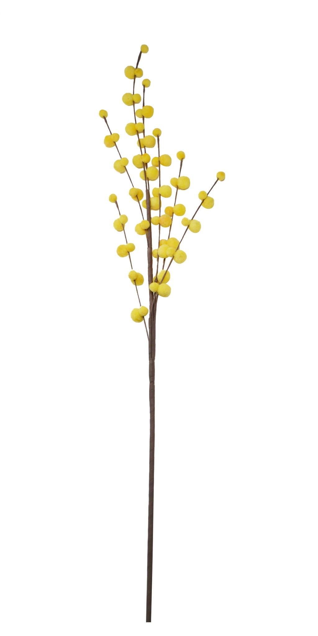 Branche décorative de chatons jaunes