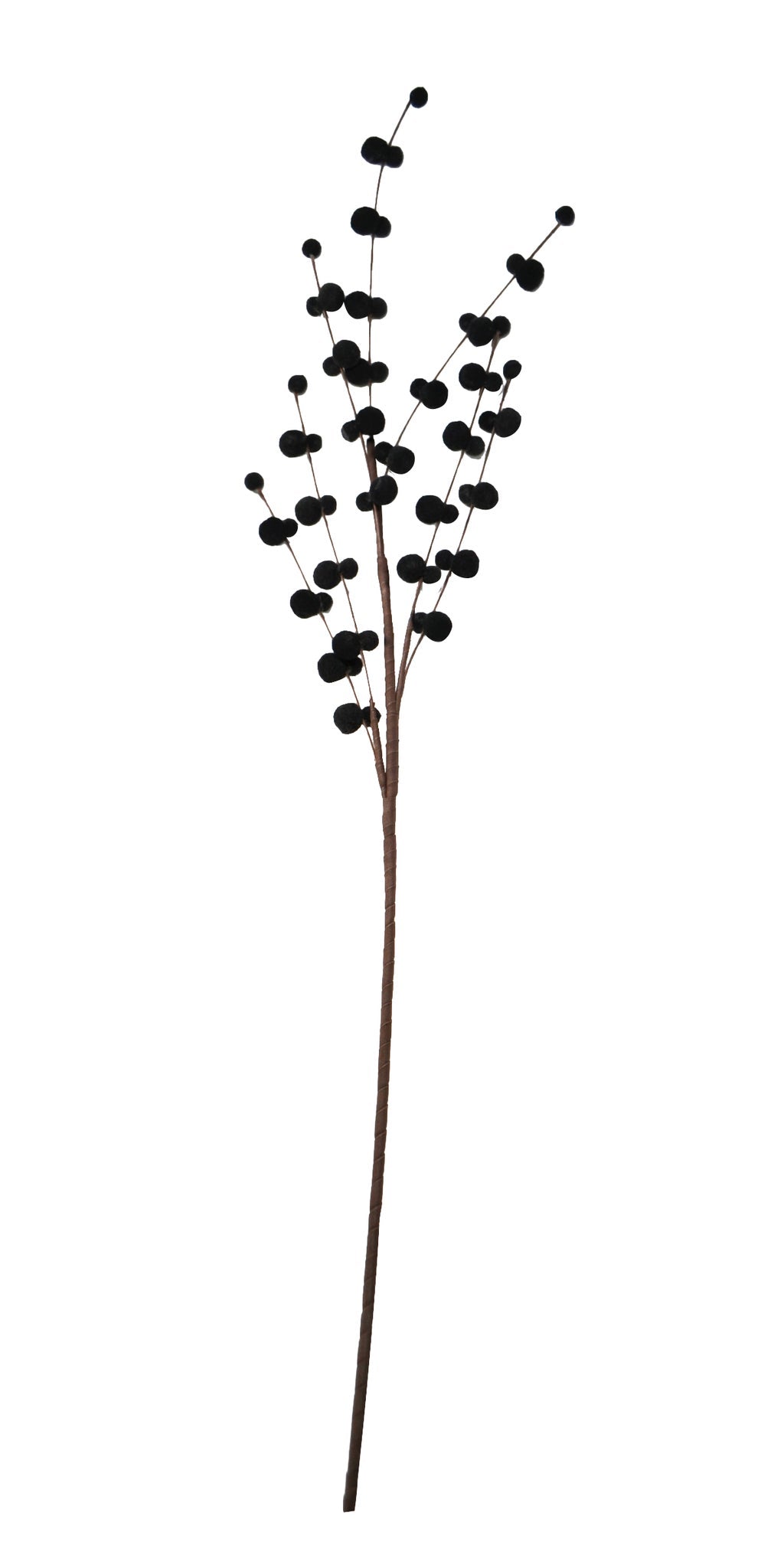 Branche décorative de chatons noirs