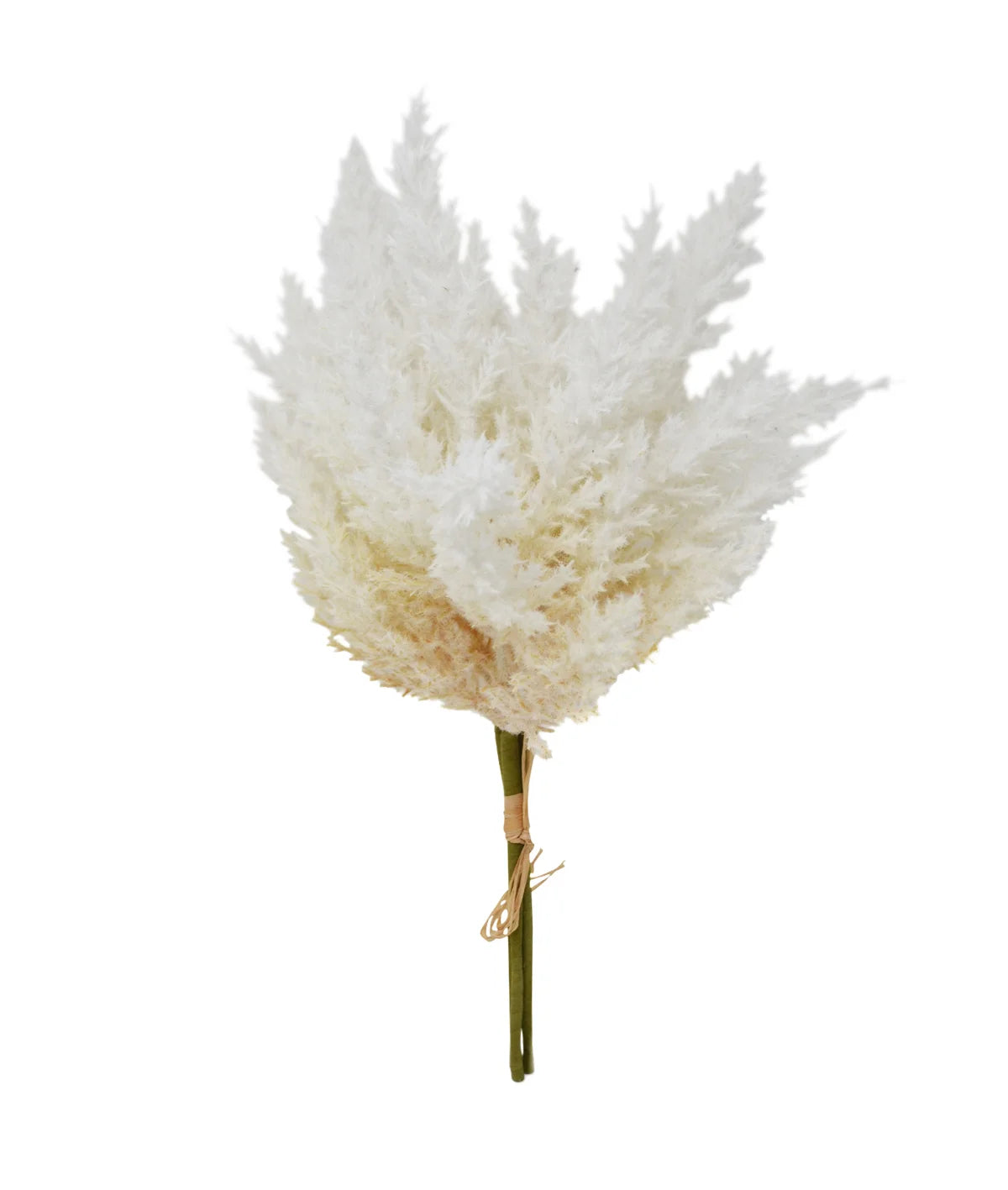 Branche décorative de roseau
