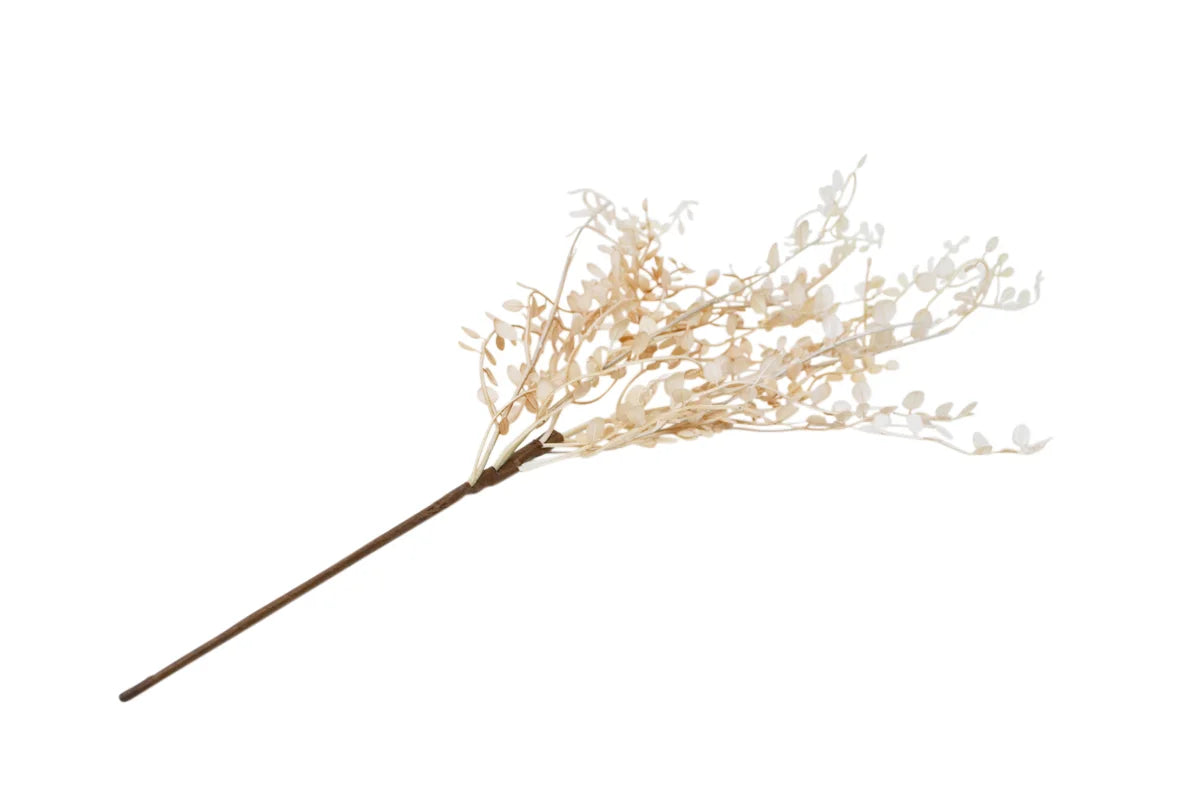 Branche décorative Muehlenbeckia