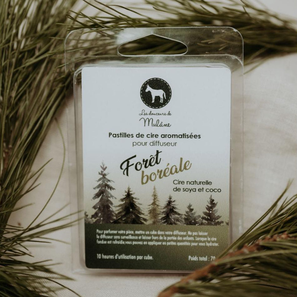 Boîte de pastilles de cire forêt boréale Mulâne, entourée de branches de conifères