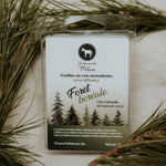 Boîte de pastilles de cire forêt boréale Mulâne, entourée de branches de conifères