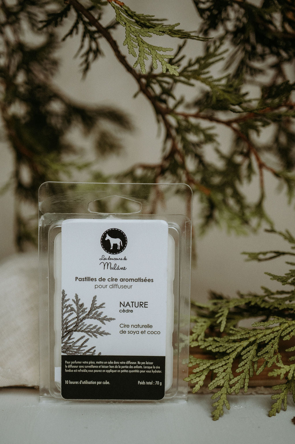 Boîte de pastilles de cire Nature Mulâne, devant des branches de cèdre