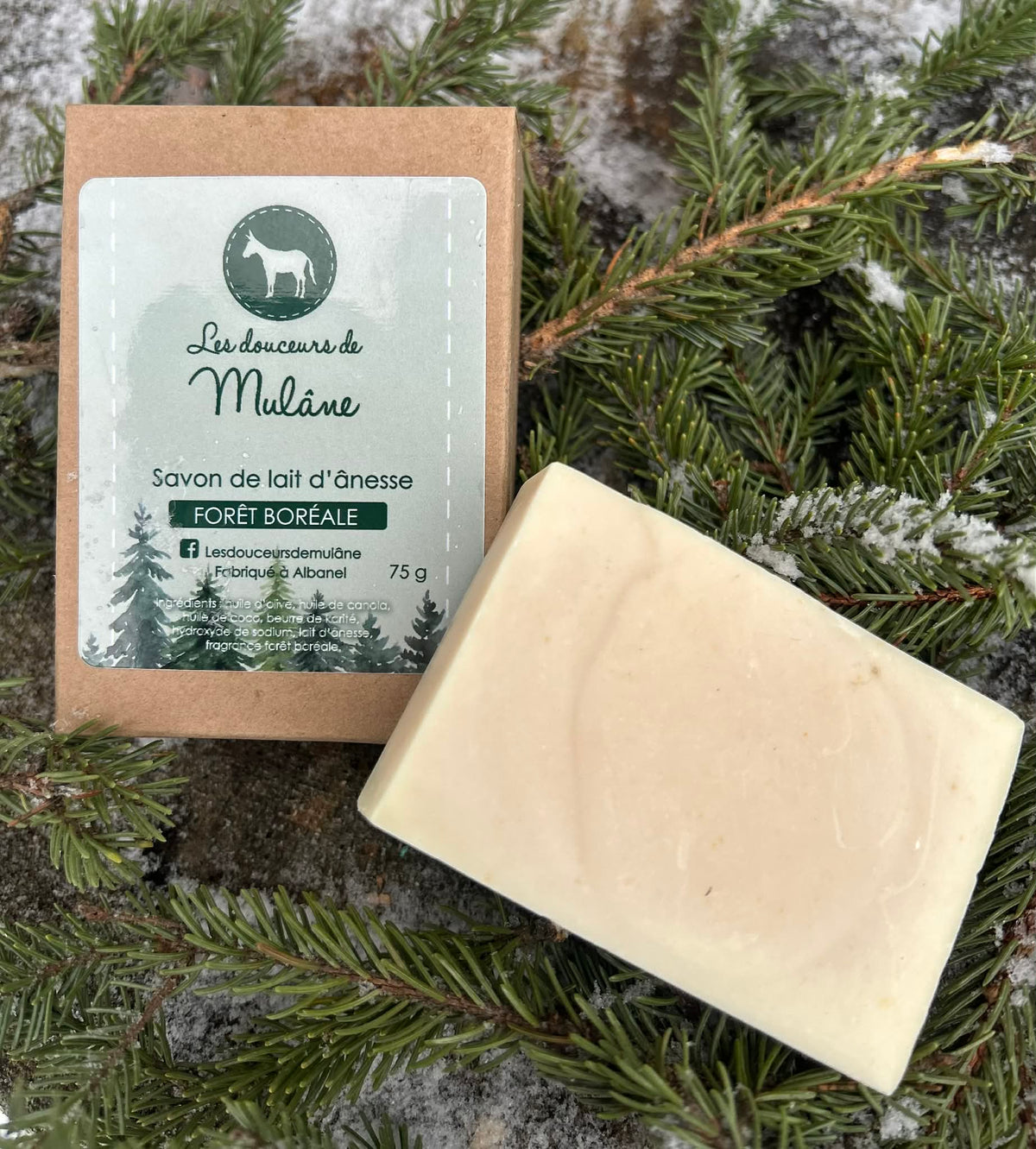 Savon forêt boréale Mulâne avec sa boîte, photographié sur des branches de conifères