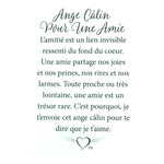 Message en français sur la carte de l’épinglette « Câlin pour une amie ».