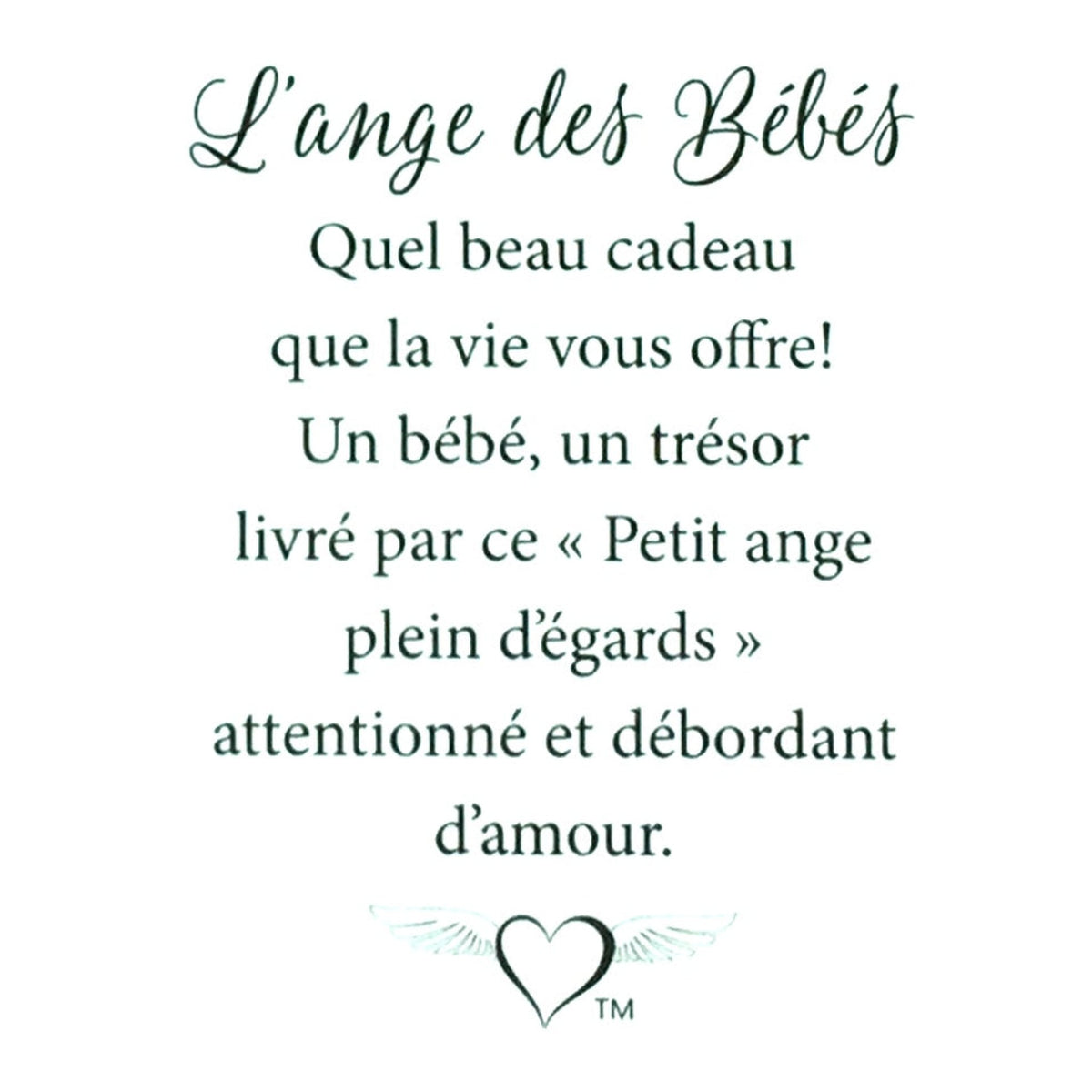 Message en français sur la carte de l’épinglette « Bébés ».
