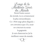 Message en français sur la carte de l’épinglette « Meilleure sœur du monde ».