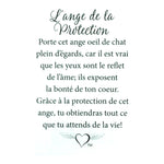 Message en français sur la carte de l’épinglette « Protection ».