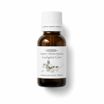 Essence parfumée pour la maison – Eucalyptus & lime de Dot & Lil – présentation du produit