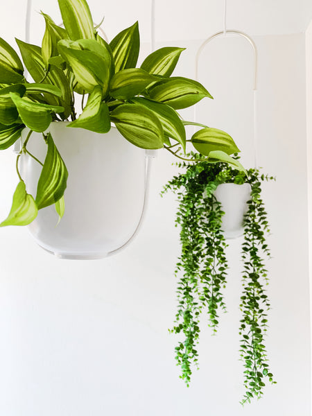 Jardinière suspendue Bolo Umbra – Blanc – présentation du produit
