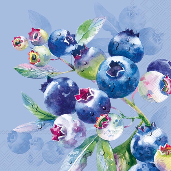 Illustration de bleuets et fleurs sur fond bleu