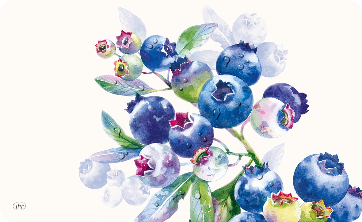 Motif de bleuets et fleurs sur fond blanc