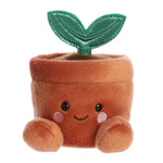 Terra Plante en Pot — Palm Pals Aurora