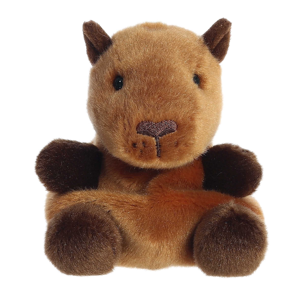 Sid Capybara — Palm Pals Aurora