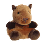 Sid Capybara — Palm Pals Aurora