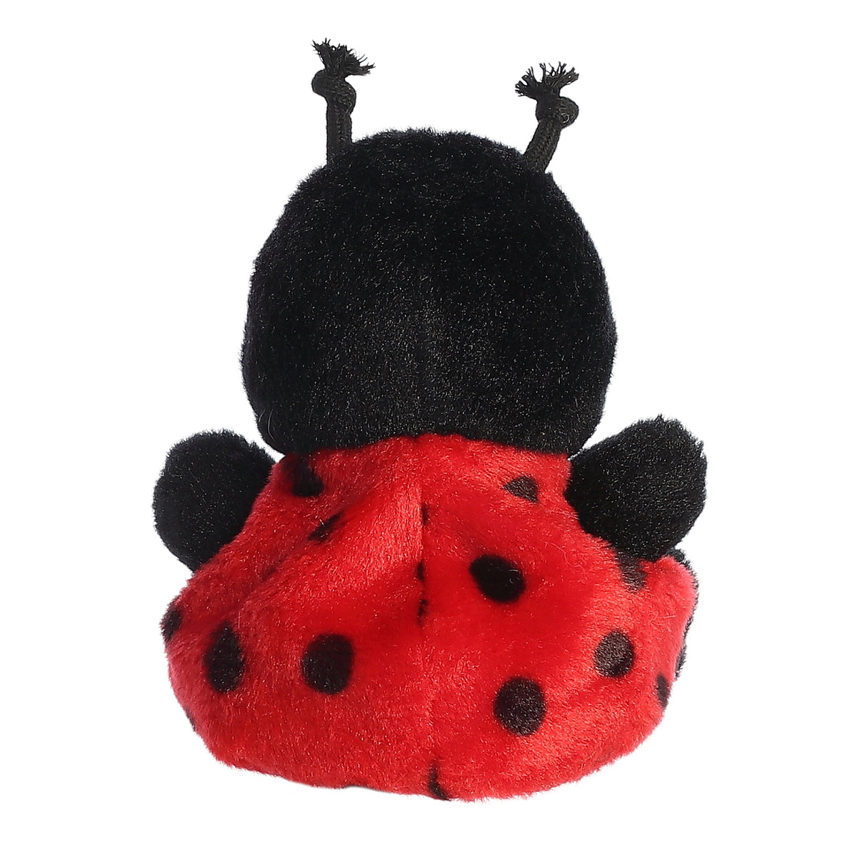 Coccinelle Petites Taches — Palm Pals Aurora