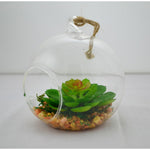 Petit terrarium bulle avec plante