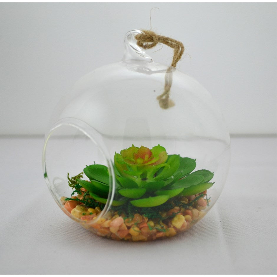 Petit terrarium bulle avec plante