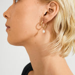Boucles d’oreilles SHIFT perle d’eau douce – finition plaquée or de Pilgrim, vue 3