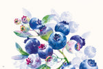 Motif aquarelle de bleuets, fleurs et feuillage