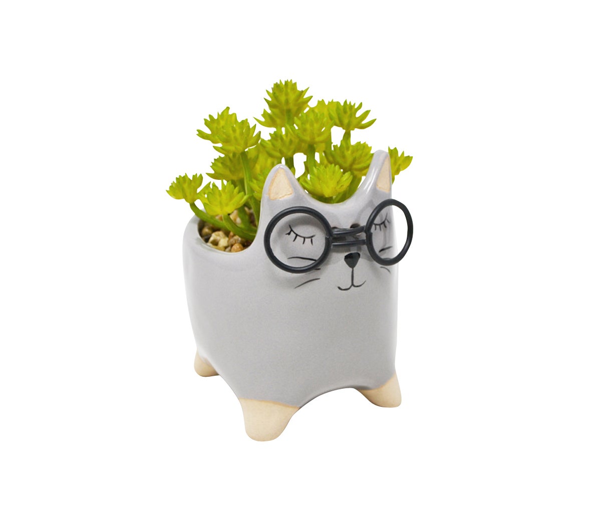 Pot pour plante Chat à lunettes