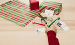 Stylo fantaisie de Noël Abbott — mise en situation