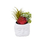 Succulente décorative en pot Iwazaru