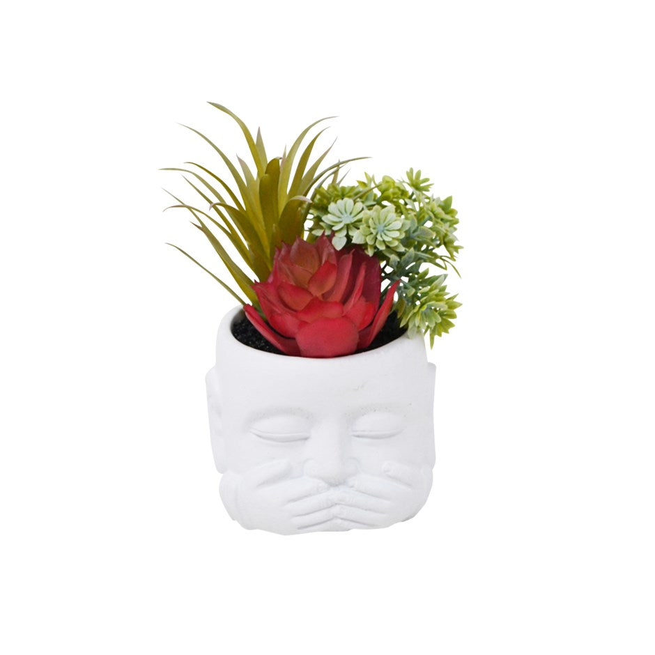 Succulente décorative en pot Iwazaru