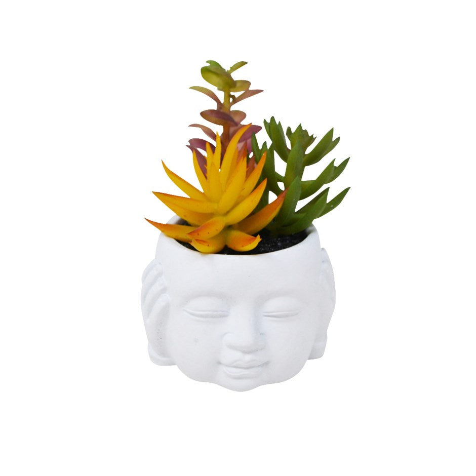 Succulente décorative en pot Kikazaru