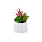 Succulente décorative en pot Mizaru