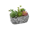 Succulentes décoratives en pot gris