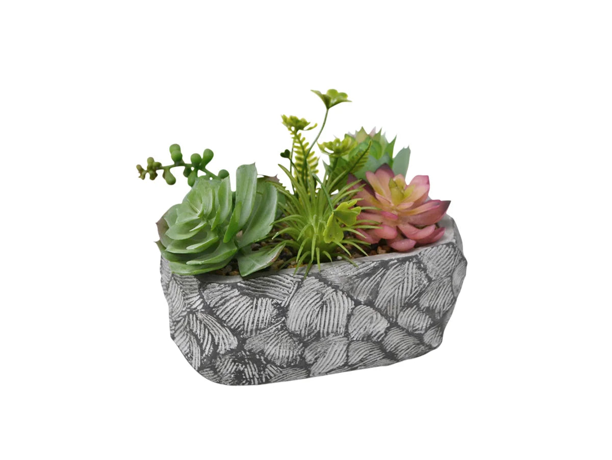 Succulentes décoratives en pot gris