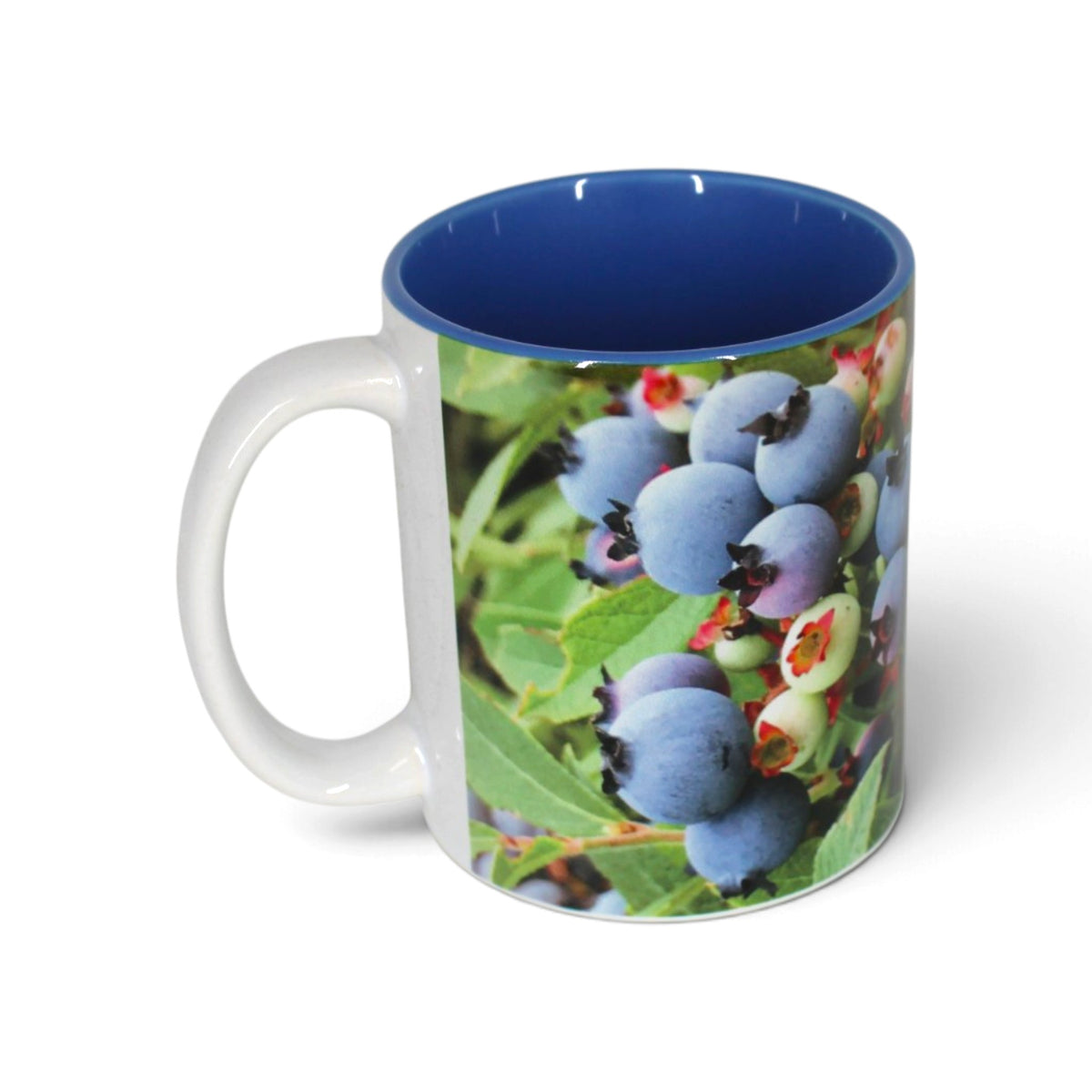 Tasse Bleuets du Lac-Saint-Jean – Bleuets sur leur feuillage