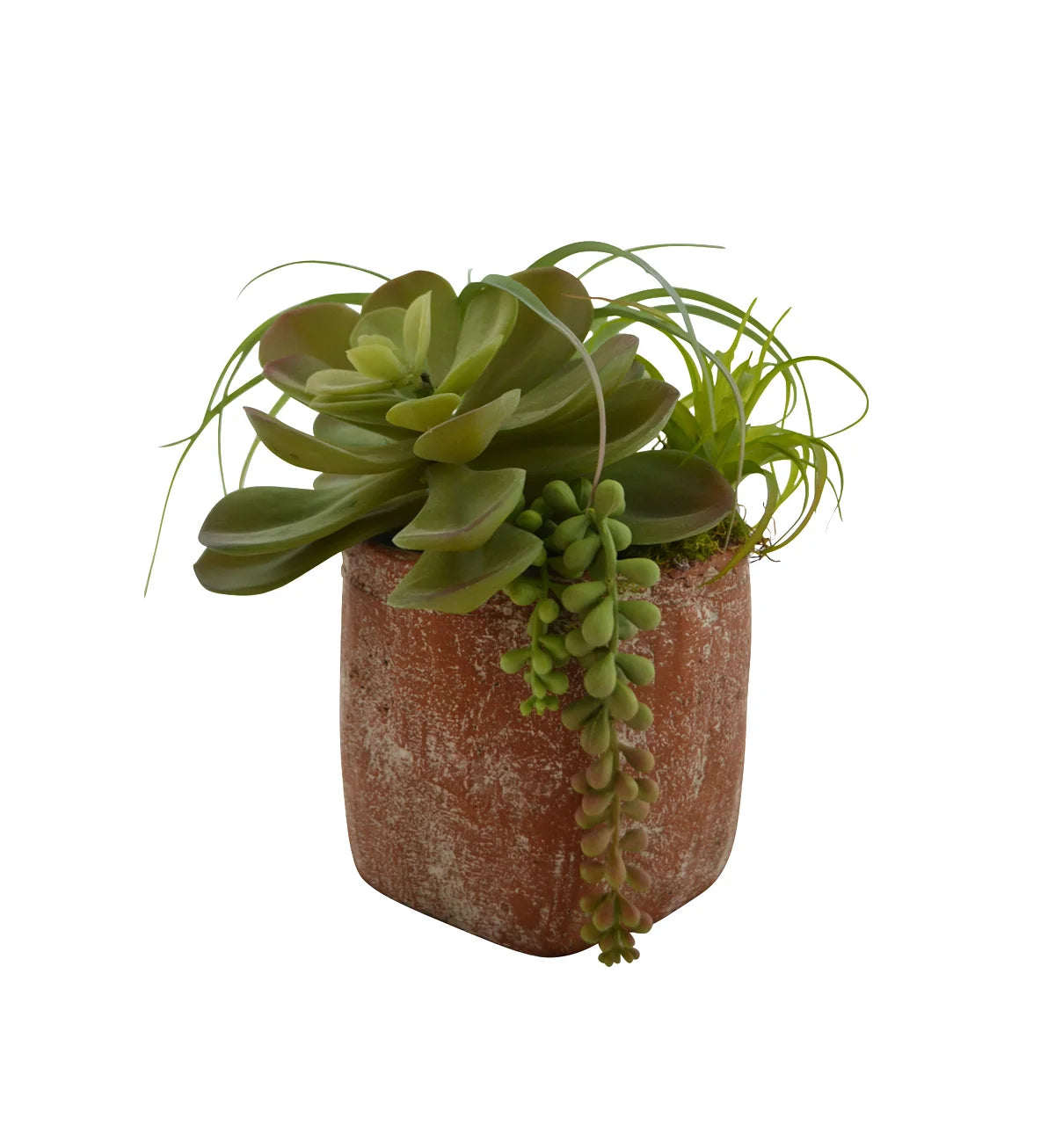 Vase carré avec succulentes