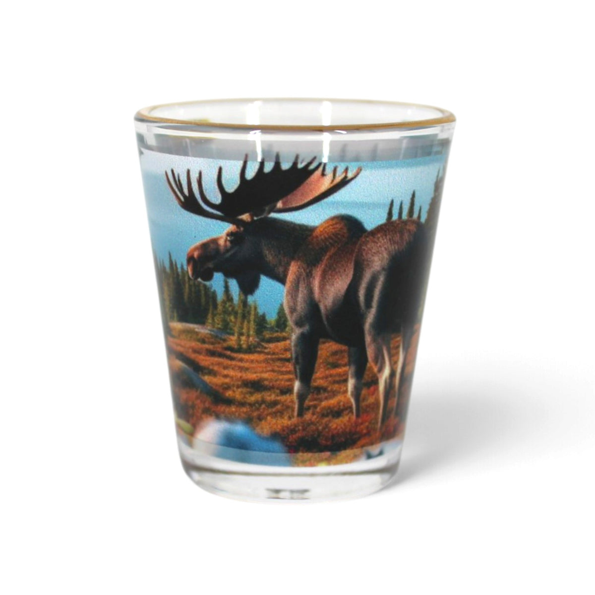Verre à shooter Saguenay–Lac-Saint-Jean – Orignal et forêt
